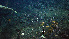  ( - PAC2022-035_OY080-020-01)  @11 [ ] CreativeCommons Attribution Non-Commercial (by-nc)  Unspecified Northeast Pacific Deep-Sea Diversity Expedition Partners