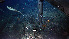  ( - PAC2022-035_OY080-020-01)  @11 [ ] CreativeCommons Attribution Non-Commercial (by-nc)  Unspecified Northeast Pacific Deep-Sea Diversity Expedition Partners