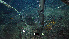  ( - PAC2022-035_OY080-020-01)  @11 [ ] CreativeCommons Attribution Non-Commercial (by-nc)  Unspecified Fisheries & Oceans Canada