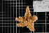  ( - PAC2022-035_OY080-020-01)  @11 [ ] CreativeCommons Attribution Non-Commercial (by-nc)  Unspecified Northeast Pacific Deep-Sea Diversity Expedition Partners