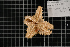  ( - PAC2022-035_OY080-020-01)  @11 [ ] CreativeCommons Attribution Non-Commercial (by-nc)  Unspecified Northeast Pacific Deep-Sea Diversity Expedition Partners