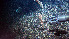  ( - PAC2022-035_OY081-030-01-01)  @11 [ ] CreativeCommons Attribution Non-Commercial (by-nc)  Unspecified Fisheries & Oceans Canada