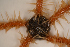  ( - PAC2022-035_OY081-031-01)  @11 [ ] CreativeCommons Attribution Non-Commercial (by-nc)  Unspecified Fisheries & Oceans Canada