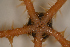  ( - PAC2022-035_OY081-031-01)  @11 [ ] CreativeCommons Attribution Non-Commercial (by-nc)  Unspecified Fisheries & Oceans Canada