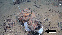  (Bathydorus - PAC2022-035_OY083-035-01)  @11 [ ] CreativeCommons Attribution Non-Commercial (by-nc)  Unspecified Fisheries & Oceans Canada