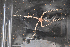  ( - PAC2022-035_OY083-038-02)  @11 [ ] CreativeCommons Attribution Non-Commercial (by-nc)  Unspecified Northeast Pacific Deep-Sea Diversity Expedition Partners
