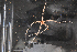  ( - PAC2022-035_OY083-038-02)  @11 [ ] CreativeCommons Attribution Non-Commercial (by-nc)  Unspecified Northeast Pacific Deep-Sea Diversity Expedition Partners