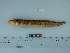  ( - BEAU2011-19)  @13 [ ] Copyright (2011) Catherine W. Mecklenburg Unspecified