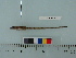  (Aspidophoroides monopterygius - OSHOR08-39)  @14 [ ] Copyright (2010) Unspecified California Academy of Sciences