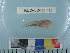  ( - RUSALCA09-130)  @12 [ ] Copyright (2010) Unspecified California Academy of Sciences