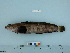  ( - BEAU2011-82)  @12 [ ] Copyright (2011) Catherine W. Mecklenburg Unspecified