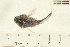  ( - 07PROBE368-A)  @12 [ ] CreativeCommons - Attribution (2009) Unspecified Centre for Biodiversity Genomics