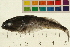  ( - 07PROBE369-I)  @13 [ ] CreativeCommons - Attribution (2009) Unspecified Centre for Biodiversity Genomics