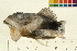  ( - 07PROBE369-K)  @14 [ ] CreativeCommons - Attribution (2009) Unspecified Centre for Biodiversity Genomics