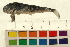  ( - 07PROBE369-N)  @13 [ ] CreativeCommons - Attribution (2009) Unspecified Centre for Biodiversity Genomics