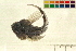  ( - 07PROBE370-A)  @13 [ ] CreativeCommons - Attribution (2009) Unspecified Centre for Biodiversity Genomics