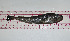  ( - 47codAB)  @13 [ ] Copyright (2011) T. A. Dick University of Manitoba