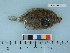  ( - AKCH10-08)  @14 [ ] Copyright (2011) Catherine W. Mecklenburg Point Stephens Research, P.O. Box 210307, Auke Bay, Alaska 99821 USA