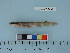  ( - WWW1003-01)  @13 [ ] Copyright (2011) Catherine W. Mecklenburg Point Stephens Research, P.O. Box 210307, Auke Bay, Alaska 99821 USA