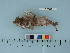  ( - WWW1003-05)  @13 [ ] Copyright (2011) Catherine W. Mecklenburg Point Stephens Research, P.O. Box 210307, Auke Bay, Alaska 99821 USA