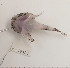  ( - TUNUVI-53)  @11 [ ] CreativeCommons - Attribution Non-Commercial Share-Alike (2016) Arve Lynghammar Unspecified