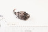  ( - TUNUVI-53)  @11 [ ] CreativeCommons - Attribution Non-Commercial Share-Alike (2016) Arve Lynghammar Unspecified