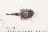  ( - TUNUVI-53)  @11 [ ] CreativeCommons - Attribution Non-Commercial Share-Alike (2016) Arve Lynghammar Unspecified