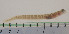 ( - TUNUVI-66)  @11 [ ] CreativeCommons - Attribution Non-Commercial Share-Alike (2016) Arve Lynghammar Unspecified