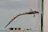  ( - TUNUVI-80)  @11 [ ] CreativeCommons - Attribution Non-Commercial Share-Alike (2016) Arve Lynghammar Unspecified