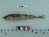  ( - BEAU2012-109)  @14 [ ] Copyright (2012) C. W. Mecklenburg Point Stephens Research
