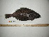  ( - BEAU2012-30)  @13 [ ] Copyright (2012) C. W. Mecklenburg Point Stephens Research