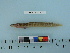  ( - BEAU2012-53)  @12 [ ] Copyright (2012) C. W. Mecklenburg Point Stephens Research