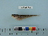  ( - BEAU2012-56)  @13 [ ] Copyright (2012) C. W. Mecklenburg Point Stephens Research