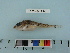  ( - BEAU2012-80)  @13 [ ] Copyright (2012) C. W. Mecklenburg Point Stephens Research