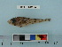  ( - BEAU2012-83)  @13 [ ] Copyright (2012) C. W. Mecklenburg Point Stephens Research