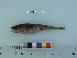  ( - BEAU2012-85)  @12 [ ] Copyright (2012) C. W. Mecklenburg Point Stephens Research