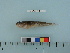  ( - BEAU2012-88)  @13 [ ] Copyright (2012) C. W. Mecklenburg Point Stephens Research