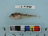  ( - BEAU2012-92)  @13 [ ] Copyright (2012) C. W. Mecklenburg Point Stephens Research