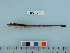  ( - BEAU2012-95)  @13 [ ] Copyright (2012) C. W. Mecklenburg Point Stephens Research