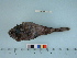  ( - BEAU2013-001)  @11 [ ] Copyright (2015) C. W. Mecklenburg Point Stephens Research