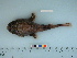  ( - BEAU2013-003)  @11 [ ] Copyright (2015) C. W. Mecklenburg Point Stephens Research