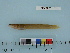  ( - AKMAP2011-15)  @12 [ ] Copyright (2011) Catherine W. Mecklenburg California Academy of Sciences
