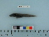  ( - BEAU2012-20a)  @12 [ ] Copyright (2012) C. W. Mecklenburg Point Stephens Research