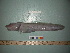  ( - BEAU2012-32a)  @12 [ ] Copyright (2012) C. W. Mecklenburg Point Stephens Research