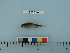  ( - PSRBC12-71)  @13 [ ] Copyright (2012) C. W. Mecklenburg Point Stephens Research