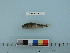  ( - PSRBC12-72)  @13 [ ] Copyright (2012) C. W. Mecklenburg Point Stephens Research