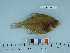  ( - PSRBC12-07)  @13 [ ] Copyright (2012) C. W. Mecklenburg Point Stephens Research