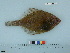  ( - PSRBC12-08)  @13 [ ] Copyright (2012) C. W. Mecklenburg Point Stephens Research