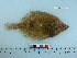  ( - PSRBC12-12)  @14 [ ] Copyright (2012) C. W. Mecklenburg Point Stephens Research