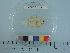  ( - PSRBC12-14)  @13 [ ] Copyright (2012) C. W. Mecklenburg Point Stephens Research